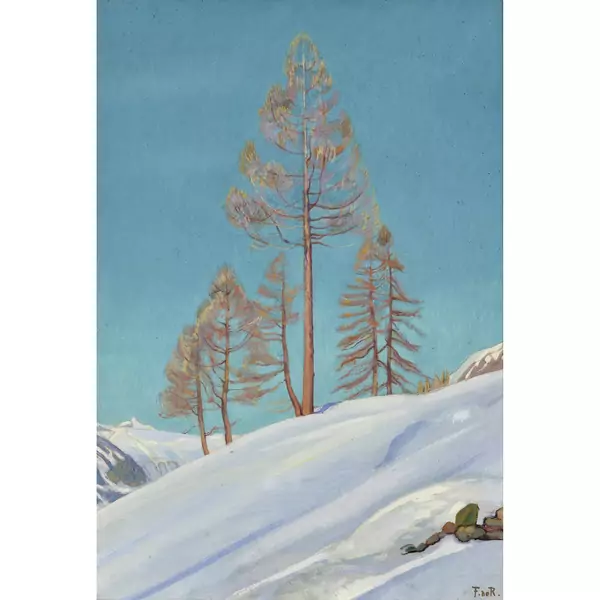 Sonnige Winterhalde mit Nadelbäumen