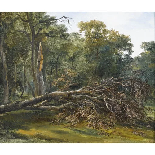 François Diday — Sommerliche Waldlichtung mit einem umgestürzten Baum.