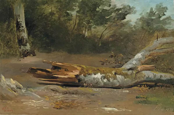 François Diday — LA FÔRET AVEC TRONC (L'JSLE), 1833FOREST WITH TREE TRUNK (L'JSLE), 1833