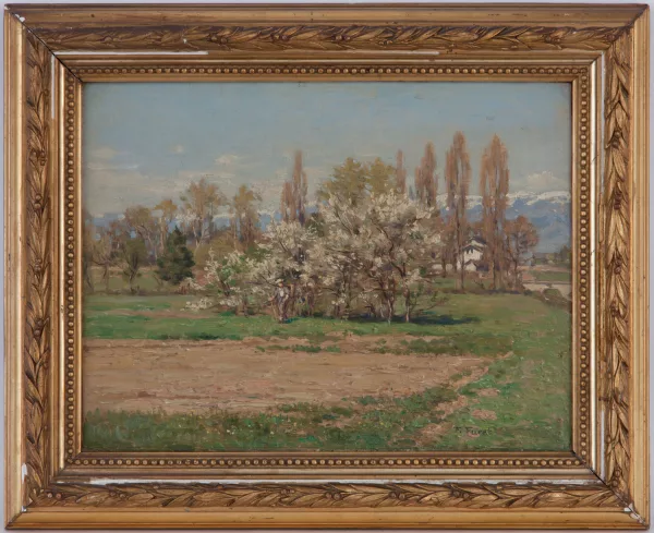 François Furet — Campagne genevoise