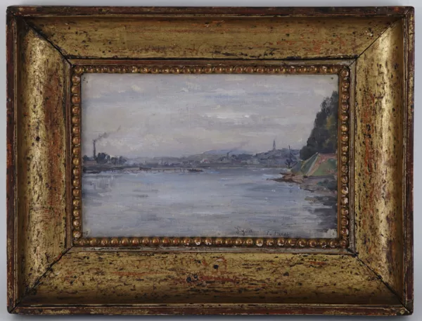François Furet — Vue de Lyon