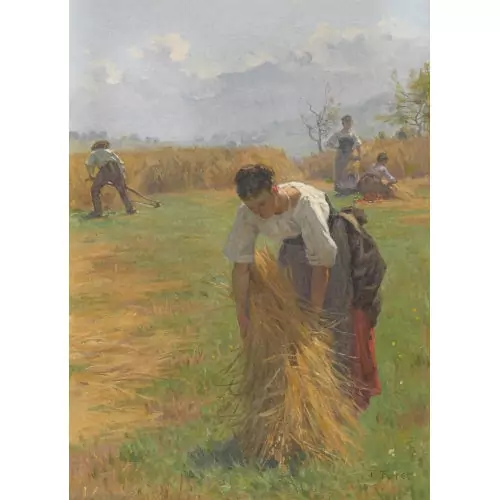 "Les blés à Aeschi"