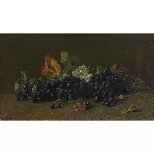 Stillleben mit blauen und weissen Trauben