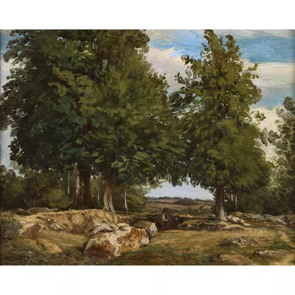 Landschaft mit Bäumen