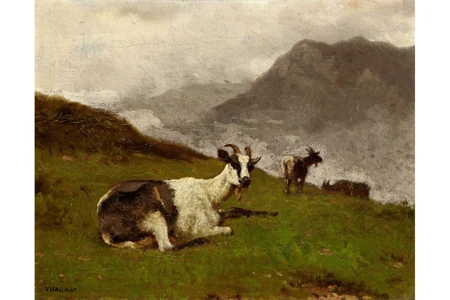 Ziegen auf Bergwiese