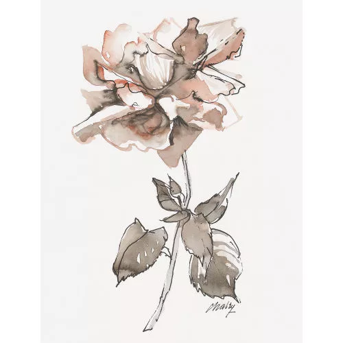 Frank Chabry — Rose.