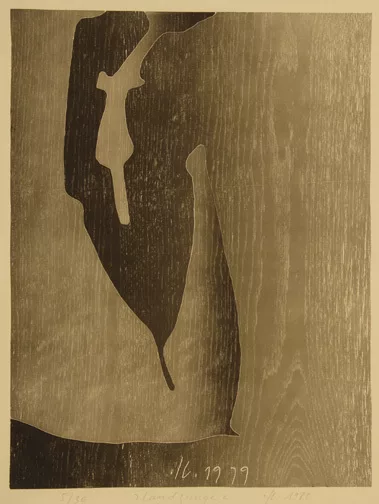 Franz Eggenschwiler — Mappe. Topographik Xylos, 1980