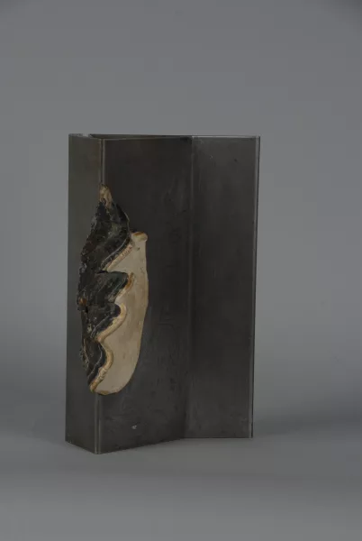 Franz Eggenschwiler — Schneebrett, 1973