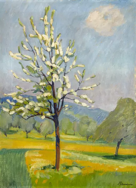 Frühling im Seetal