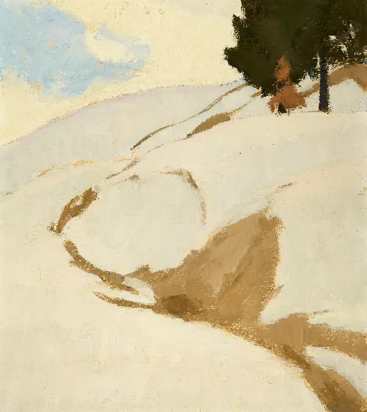 Verschneiter Berghang