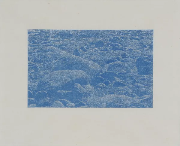 Franz Gertsch — Cima del mar (détail 2), 1990
