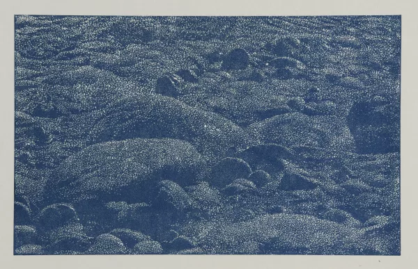 Franz Gertsch — Cima del mar, 1990