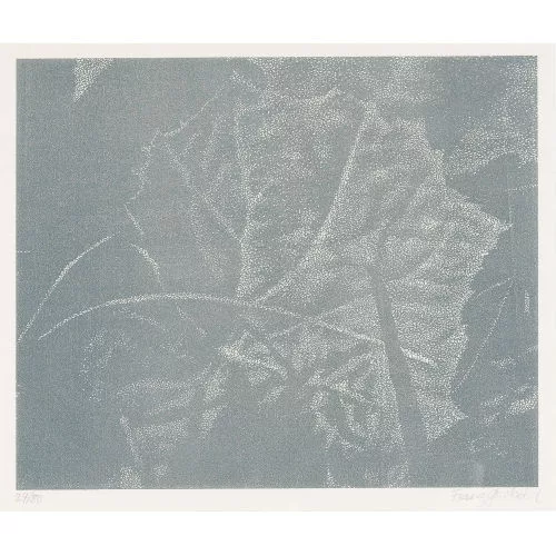 Franz Gertsch — Pestwurz.