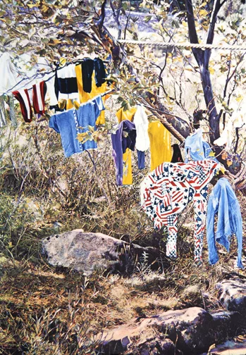 Franz Gertsch — Saint Guilhem, 1974