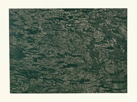 Franz Gertsch — Schwarzwasser II (Detail 1) — Galerie Kornfeld