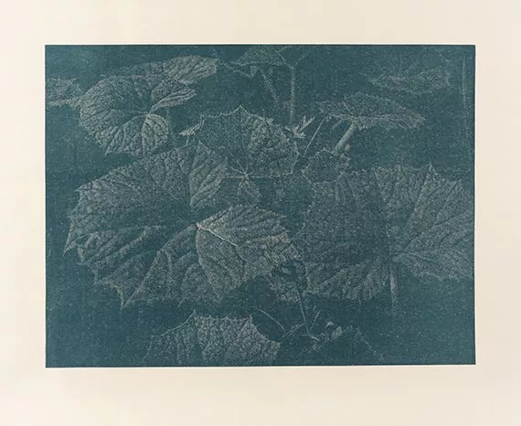 Franz Gertsch — Bagatelle II. Pestwurz
