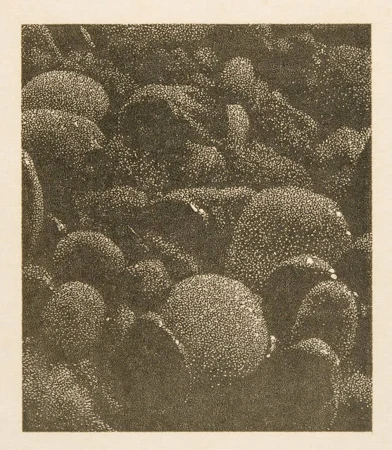 Franz Gertsch — Ohne Titel (Farbprobe 91) — Galerie Kornfeld