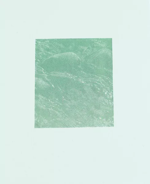 Franz Gertsch — "Am Schwarzwasser".
