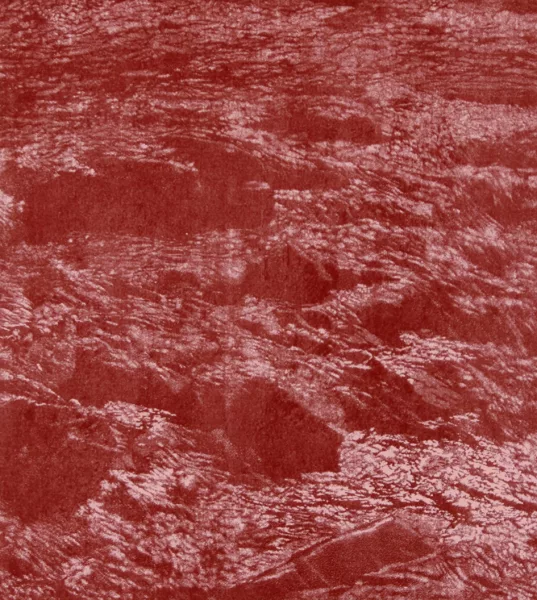 Franz Gertsch — Portfolio. 5 Bilder, 1997
