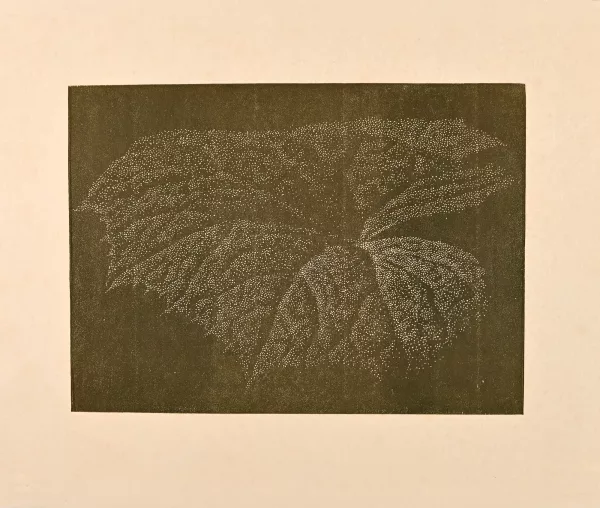 Franz Gertsch — Pestwurz, 1994