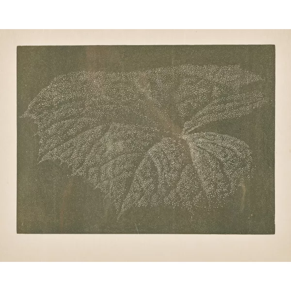 Franz Gertsch — "Pestwurz".