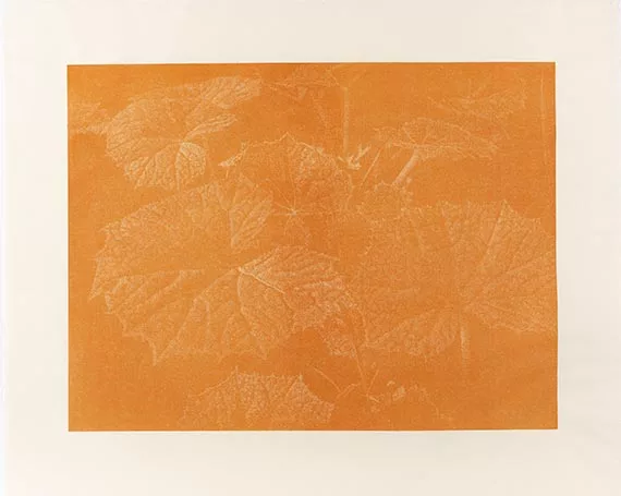 Franz Gertsch — Bagatelle II. Pestwurz