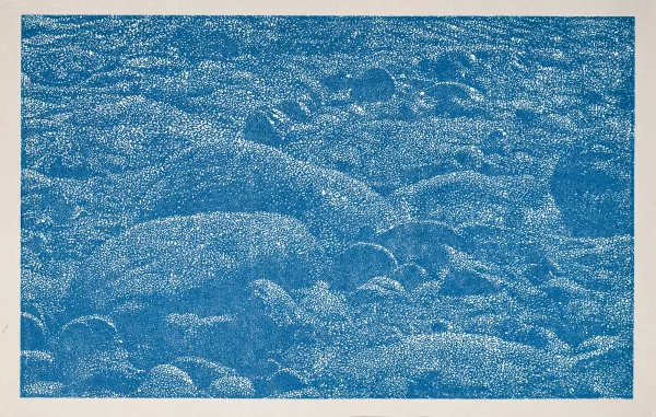 Franz Gertsch — Cima del mar (détail 2), 1990