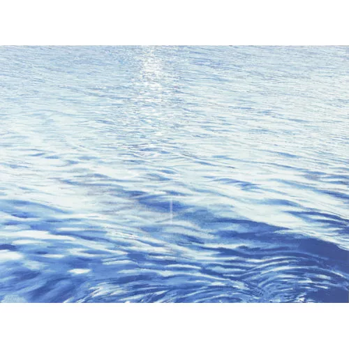 Franz Gertsch — Wasser.