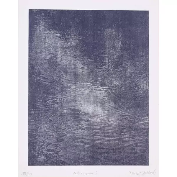 "Schwarzwasser I"