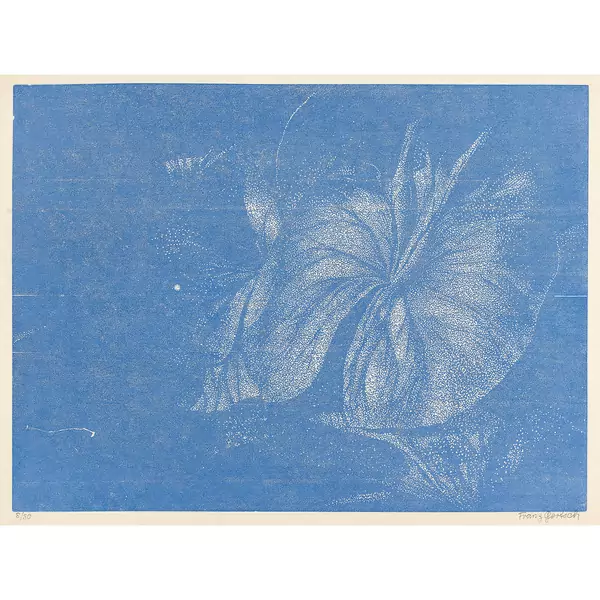 "Teichrosenblatt"