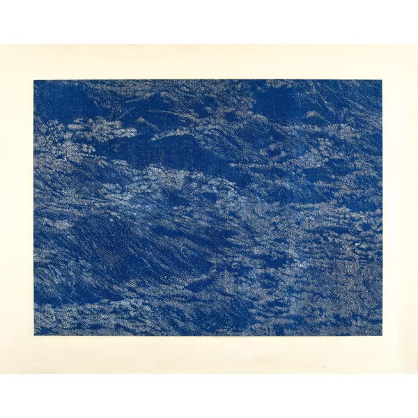 Franz Gertsch — "Schwarzwasser II" (Detail 2).