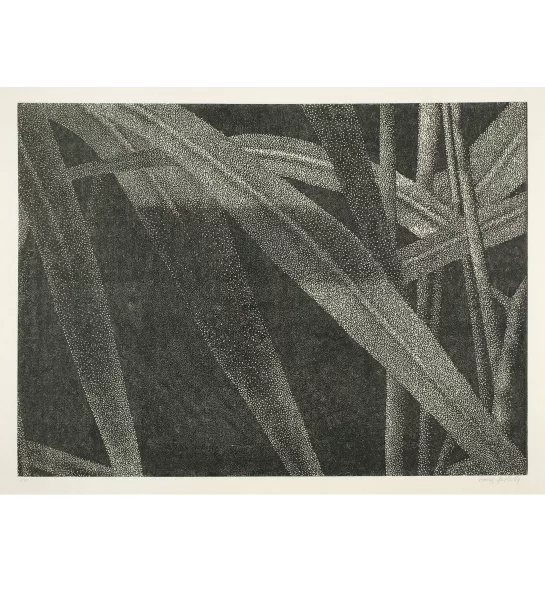 Franz Gertsch — Ausschnitt aus Gräser I