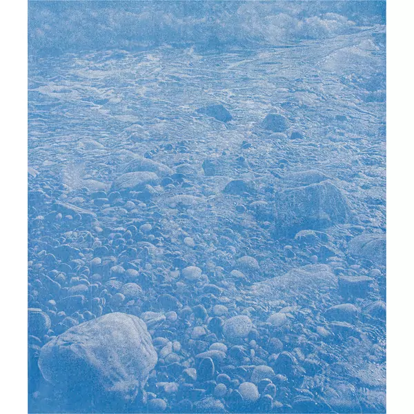 Franz Gertsch — Cima del Mar — Galerie Kornfeld