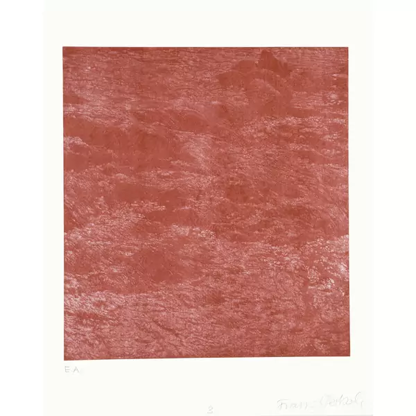 Franz Gertsch — 5 [4] Bilder Dominique, Lapislazuli, Schwarzwasser I und Schwarzwasser II (Triptychon, je ein Blatt); es fehlt Rüschegg — Galerie Kornfeld