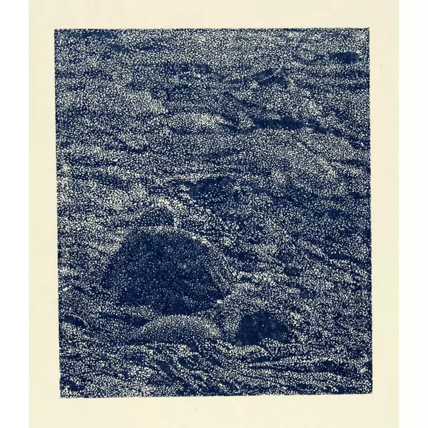 Franz Gertsch — Am Schwarzwasser Ausschnitte: Landschaften in der Landschaft. Zürich, Turske & Turske, 1991 — Galerie Kornfeld