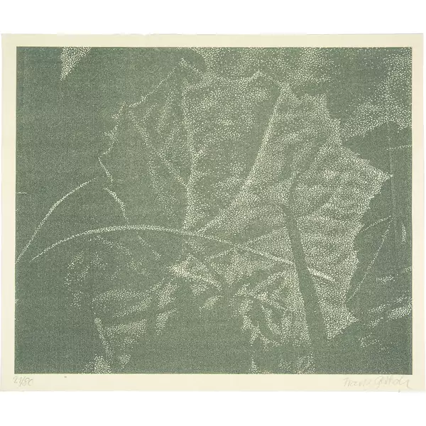 Franz Gertsch — Pestwurz Vorzugsausgabe des Buchs "Franz Gertsch. Holzschnitte. Die Kunst liegt in der Natur. Wer sie herausreissen kann der hat sie", erschienen 1994 im Verlag Lars Müller, Baden — Galerie Kornfeld