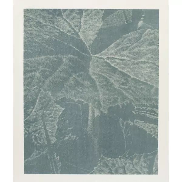 Franz Gertsch — Bagatelle "Pestwurz" (Detail 2) — Galerie Kornfeld