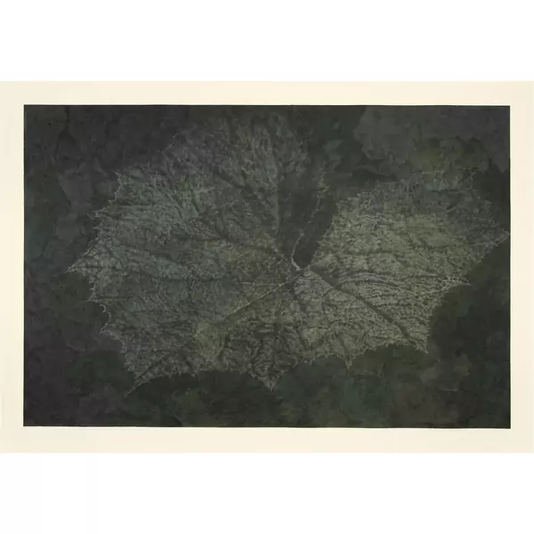 Franz Gertsch — Pestwurz IV — Galerie Kornfeld