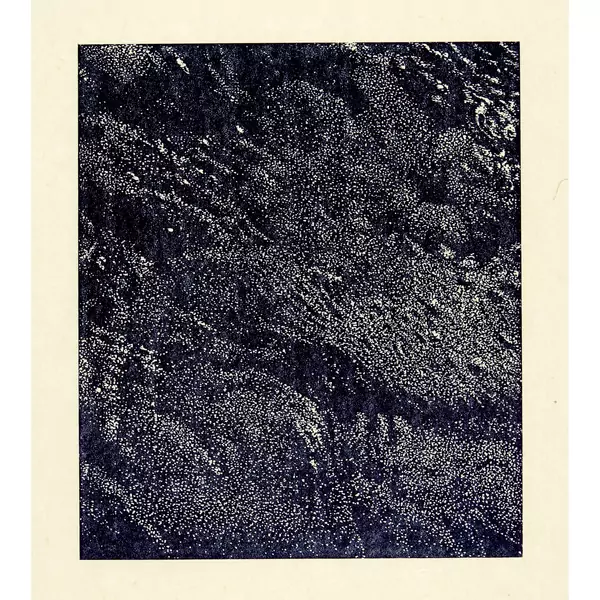 Franz Gertsch — Cima del Mar (Ausschnitt) — Galerie Kornfeld