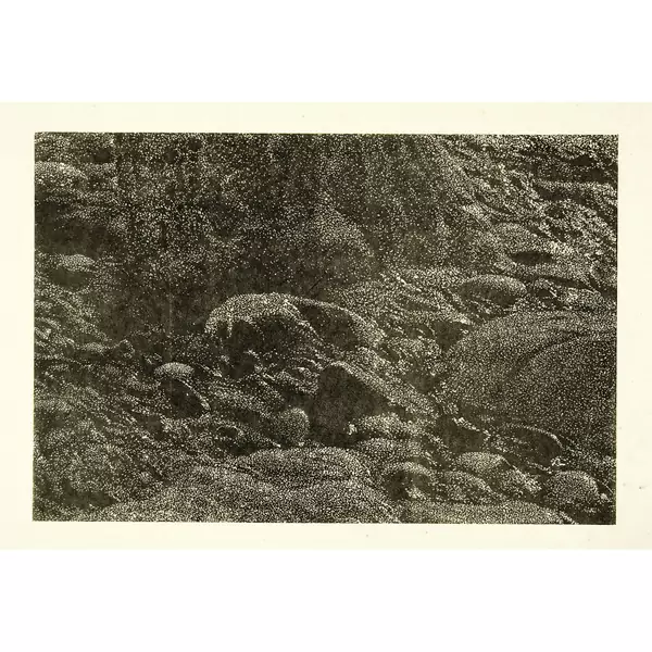 Franz Gertsch — Cima del Mar (Ausschnitt) — Galerie Kornfeld