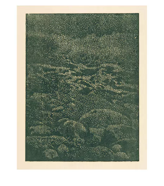 Franz Gertsch — Ufersteine — Galerie Kornfeld