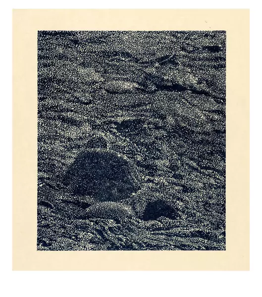 Franz Gertsch — Am Schwarzwasser. Ausschnitte: Landschaften in der Landschaft Zürich, Turske & Turske, 1991 — Galerie Kornfeld