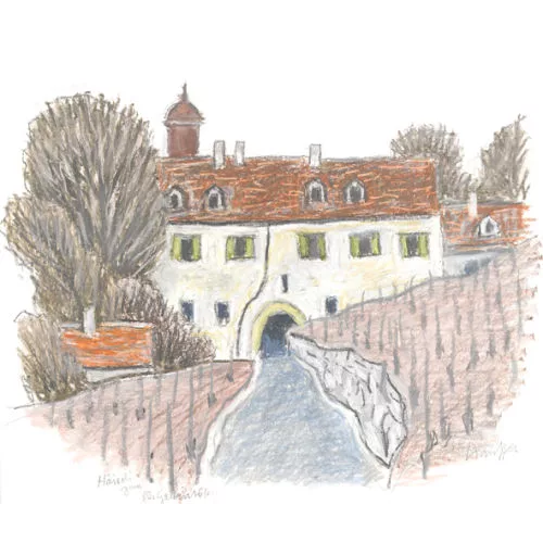Fred Stauffer — Stattliches Gut mit Reben.