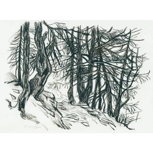 Fred Stauffer — Waldausschnitt.