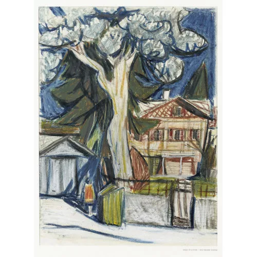 Fred Stauffer — "Die grosse Kiefer".