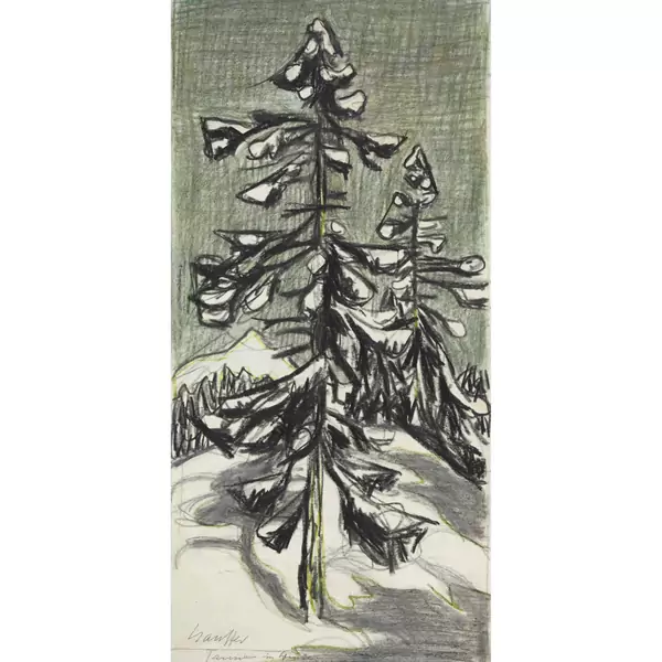 "Tannen im Winter"