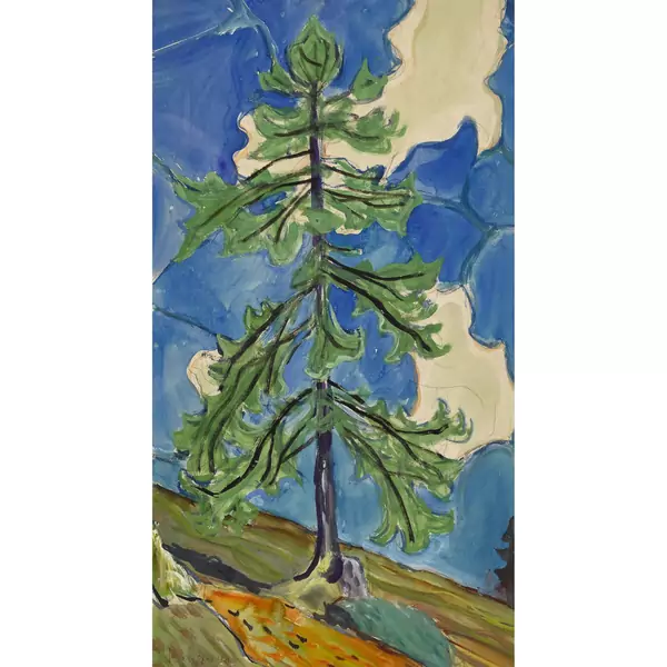 Nadelbaum auf der Alp