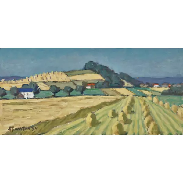 Sommerliche Feldlandschaft