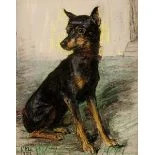 Hundeportrait