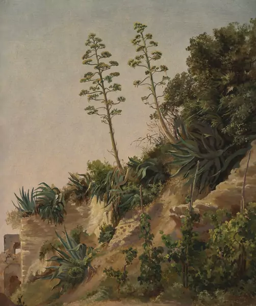 Friedrich Meyer — Südliche Vegetation bei Posilippo. 1834. — Schuler Auktionen